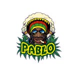 NEW-PABLO-LOGO